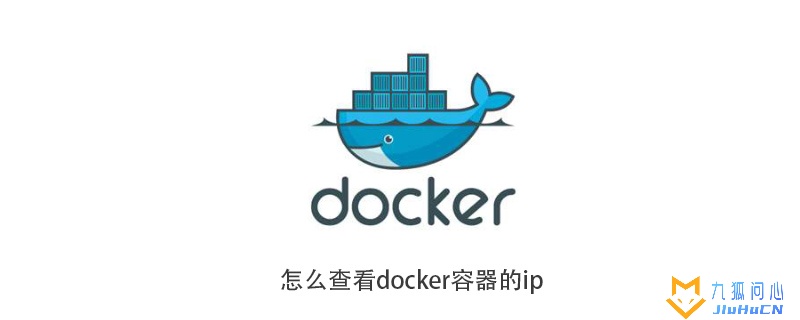 怎么查看docker容器的ip插图