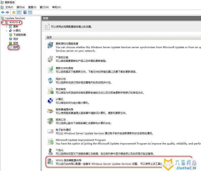 Windows Server 2019部署WSUS系统更新服务插图18