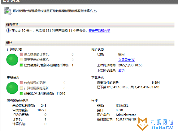 Windows Server 2019部署WSUS系统更新服务插图31