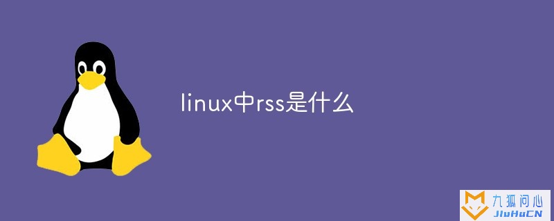 linux中rss是什么插图